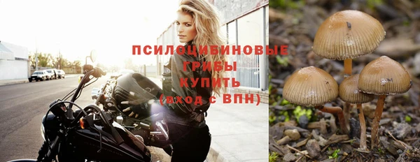 герыч Алзамай